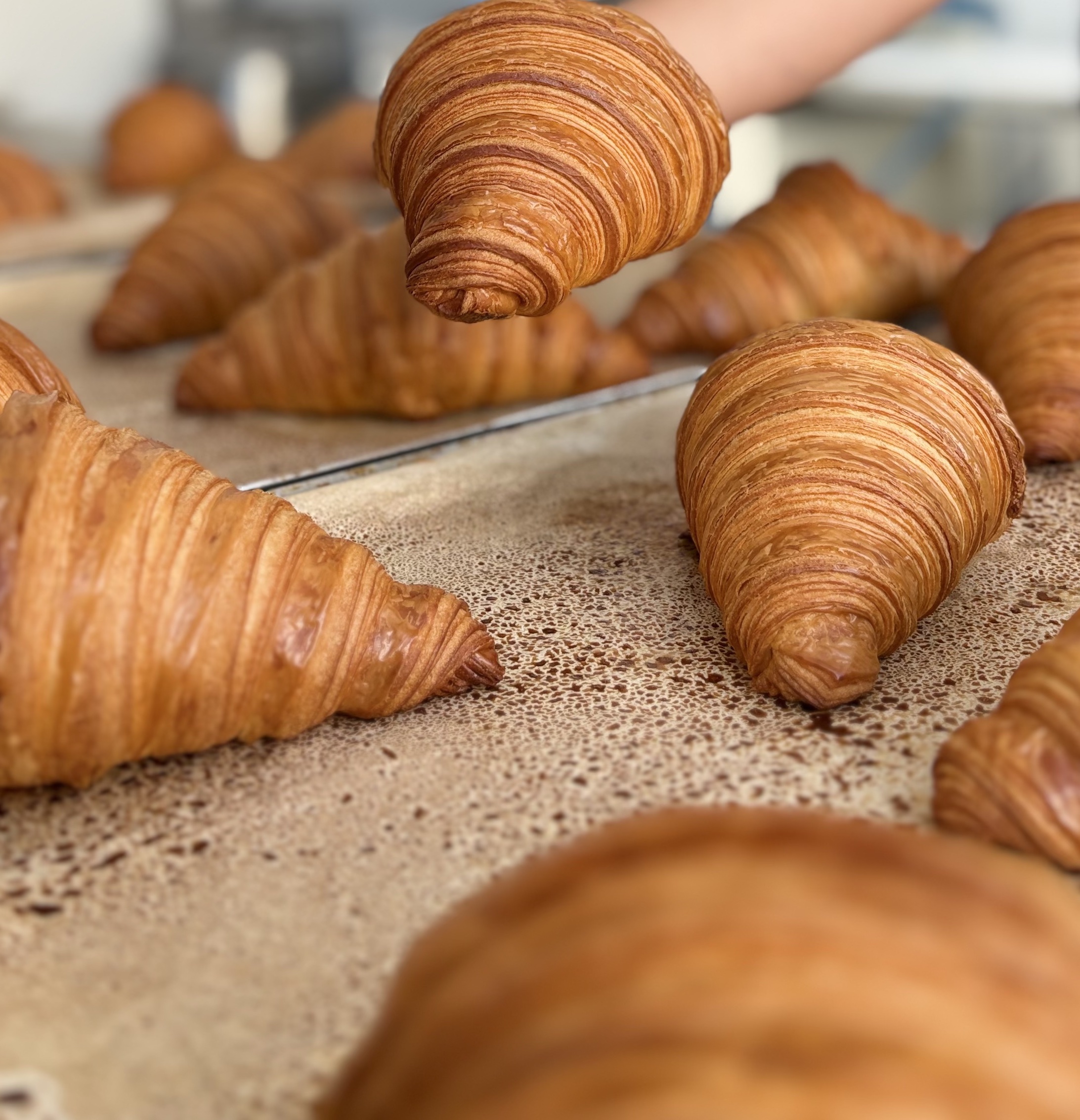 Professional bakery scene showing golden-brown croissants with flaky, layered pastry texture on commercial bakery counter