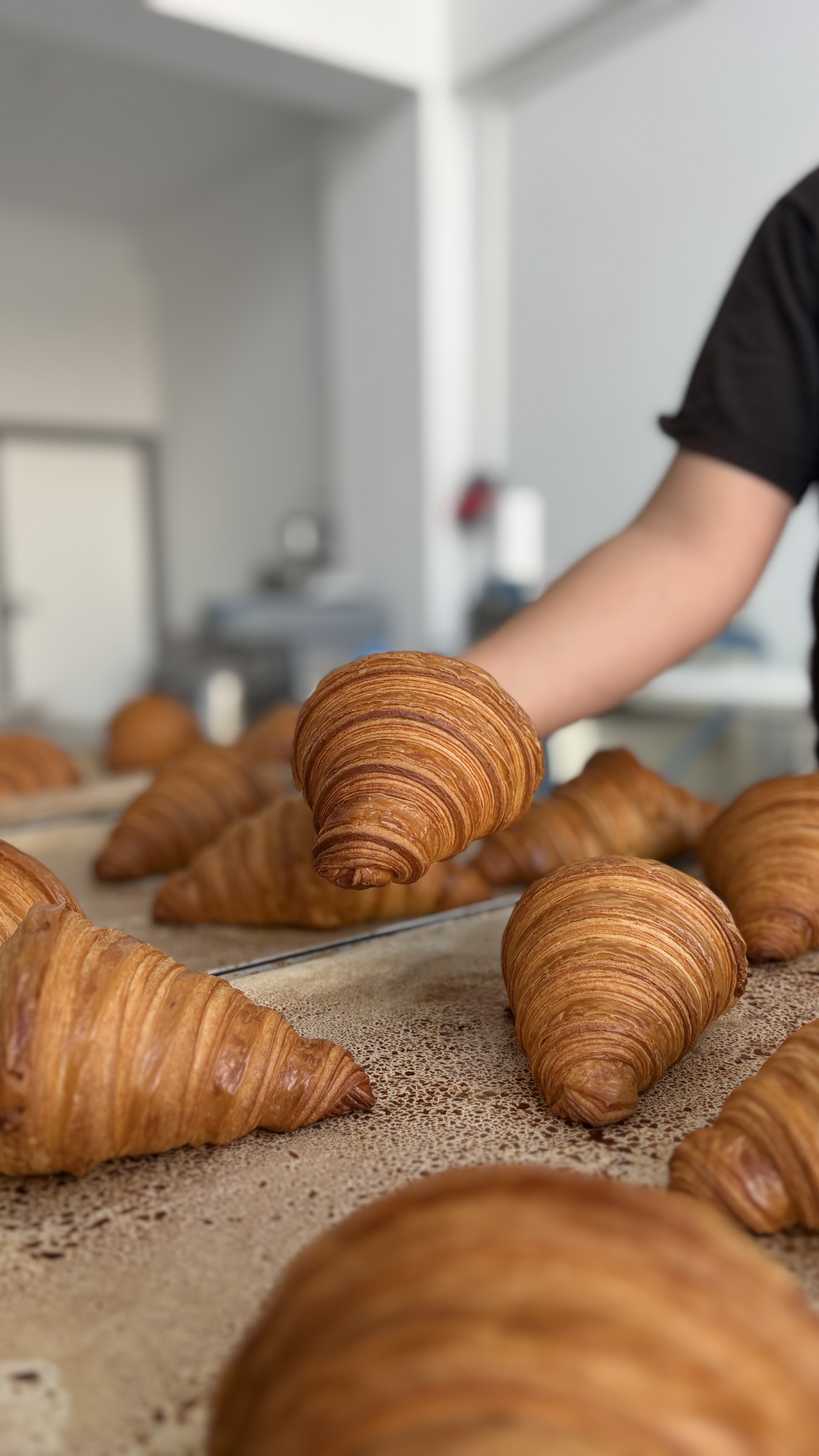 Professional bakery scene showing freshly baked golden-brown croissants with beautiful laminated layers on a granite counter, baker's hand in black clothing reaching toward the pastries, industrial bakery kitchen background with white walls and professional equipment